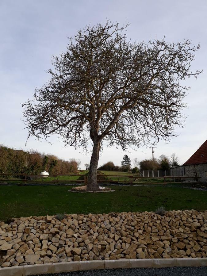 Gite " Le Vieux Noyer" Liesville-sur-Douve Luaran gambar